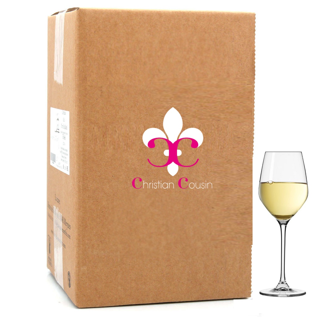 BIB 5L - Blanc - Domaine Fiervaux - Chenin sec
