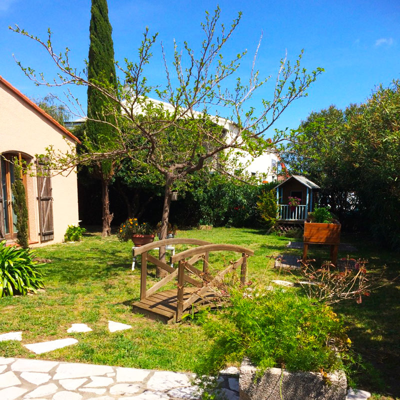 Le Grand platane - Argelès-sur-Mer