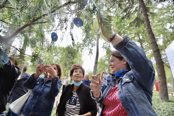 Image de diapositive